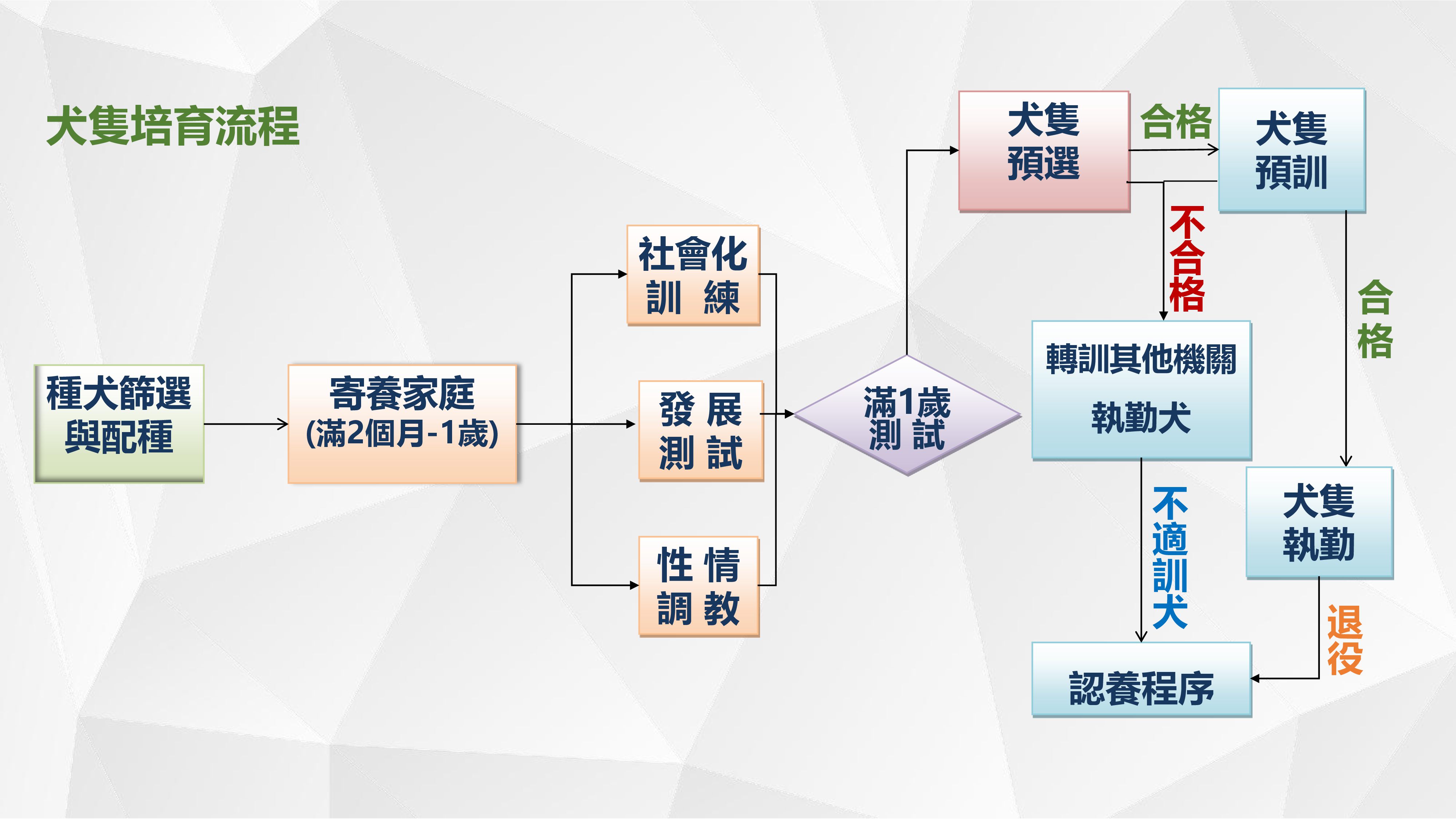海關犬隻培育流程