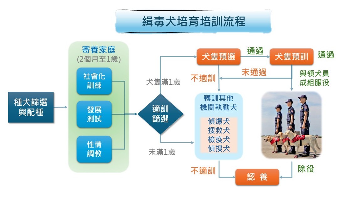 海關緝毒犬培育培訓流程