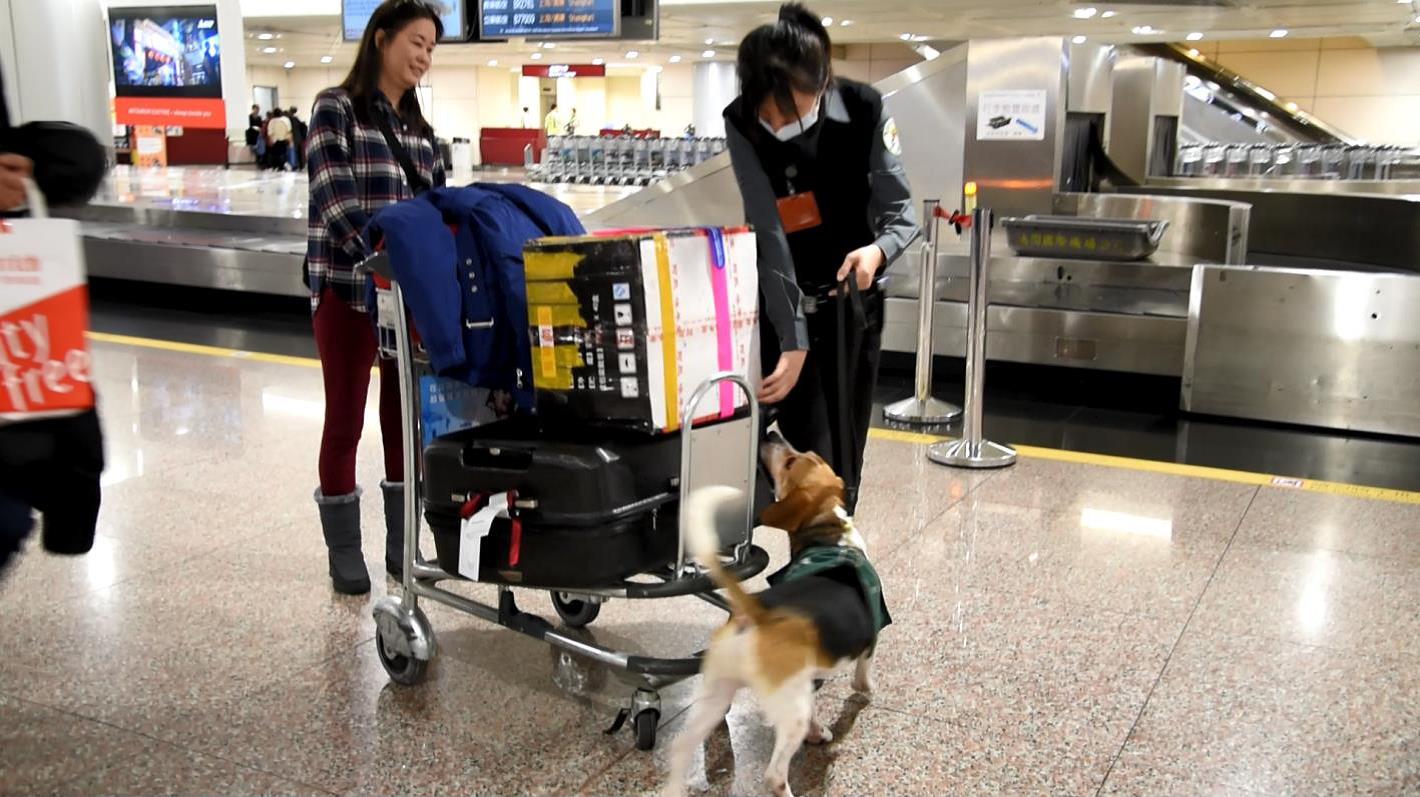 第三道防線：防檢局檢疫犬及海關於紅綠線檯攔查入境旅客行李(兩張照片)