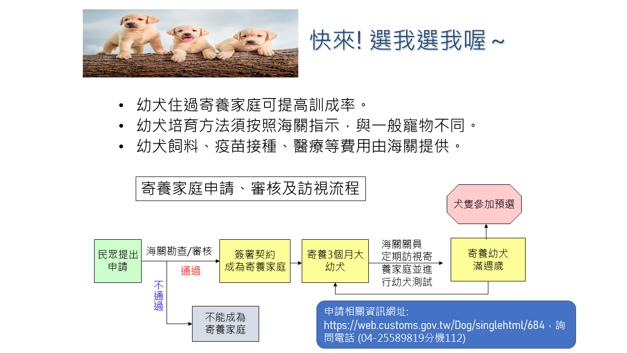 申請寄養超萌緝毒生力軍，與海關共同培養護國小尖兵