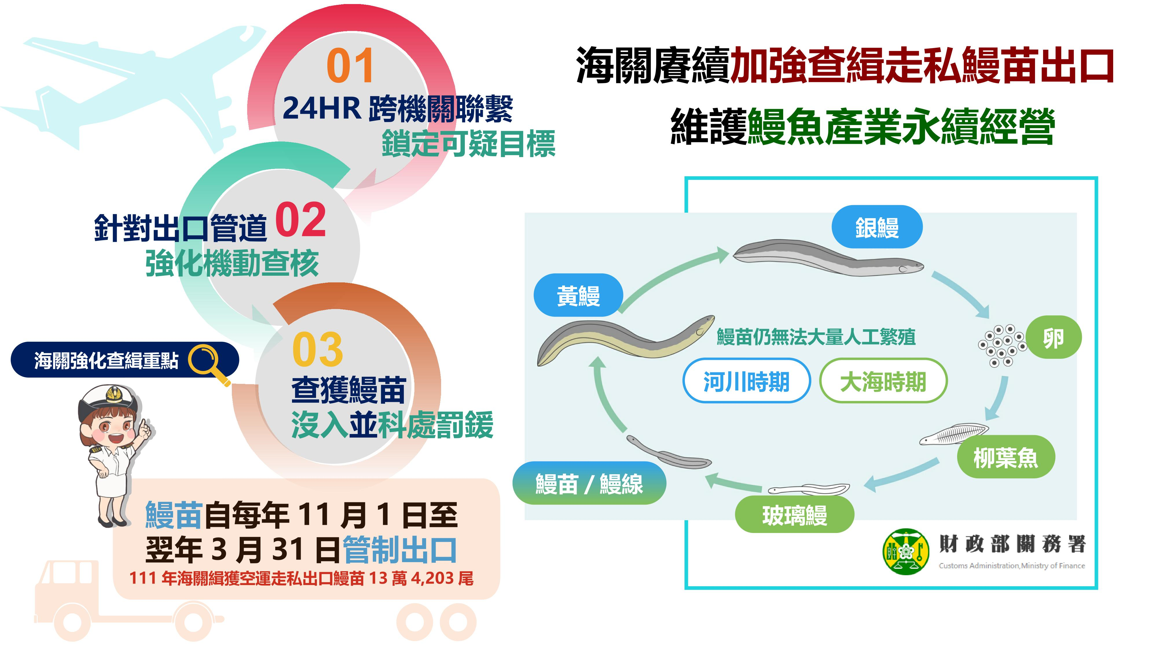 海關賡續加強查緝走私鰻苗出口,維護鰻魚產業永續經營